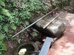 -大余丫山旅游度假区