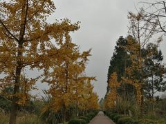 -白鹭湾湿地公园