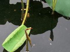 -南宫温泉水世界