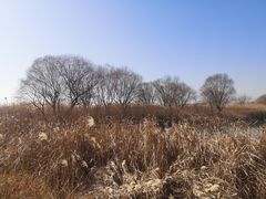 -苏州太湖湖滨国家湿地公园