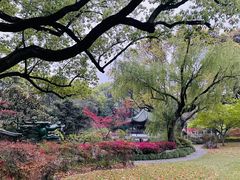 -申粤轩酒楼·三十年粤菜经典(丁香花园店)