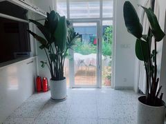 -春树下·树屋花房西餐厅(罍街AS1980店)