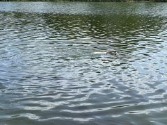 -北运河水利风景区