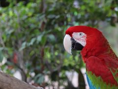 -灵玲国际马戏城