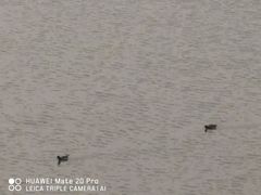 -雅安楠水阁温泉酒店