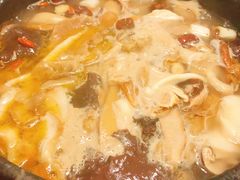 -波密野生菌王酒家