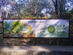 -香山公园
