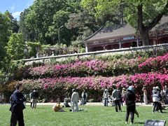 -红螺寺