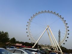 -日照海滨国家森林公园