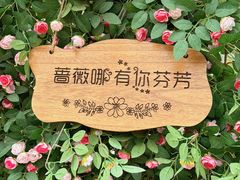 -北京凤凰岭