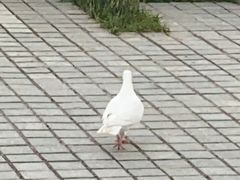 -秦文明广场
