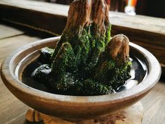 -普洱茶府(博乐广场店)