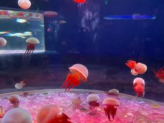 -欢乐海岸海洋奇梦馆