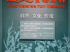 -中国湿地博物馆