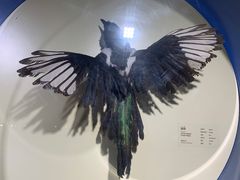 -中国（海南）南海博物馆