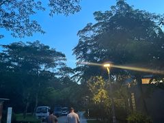 -聚龙山公园