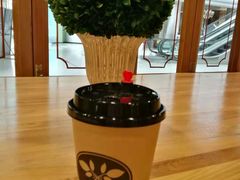 -多克多蒸气茶DOKDO(鼓楼绿地店)