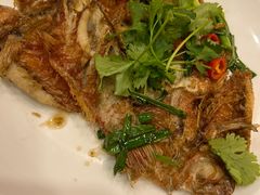 -长平老姿娘夜粥(平东一街店)