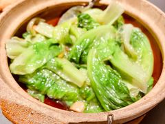 澳门虾酱啫农场生菜-小炳胜(卓悦中心店)