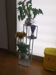 -杭州海亮医院 · 禾芸嘉医美中心
