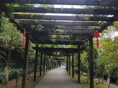 -九龙潭景区