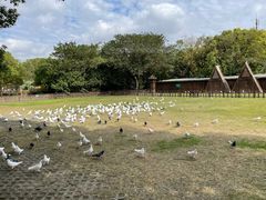 -上海野生动物园