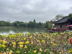 -湘湖大院(越王路店)