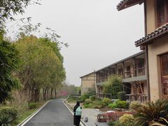-黄陂区野村谷景区