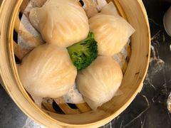 -天津津利华酒店