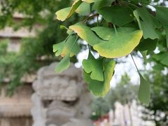 -北京石刻艺术博物馆(五塔寺)