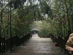 -陶祖圣境风景区