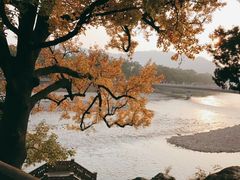 -溪口-滕头旅游景区