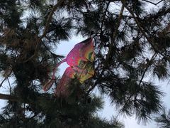 -汇泉广场
