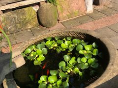 -三峡古玩城(泰古广场店)