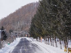 -横道河子东北虎林园