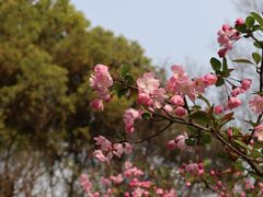 -新江湾城公园