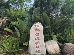 -广东惠东海龟国家级自然保护区