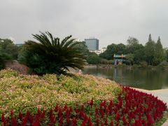 -宁波儿童公园(鄞州区)