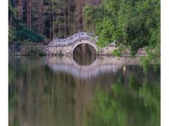 -中国科学院华南植物园