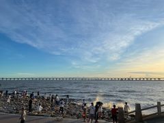 -宝安西湾红树林湿地公园