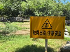 -白水寺森林公园