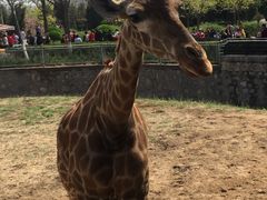 -石家庄市动物园