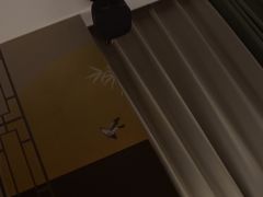 -云领御 • 影院式SPA足道(俊发广场店)
