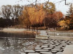 -大望京公园