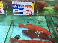 水产区-渔民新村(番禺总店)