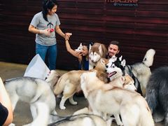 -TrueLove @ Neverland (Husky Cafe)