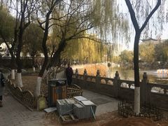 -文瀛公园