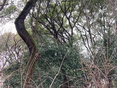 -上海方塔园