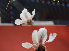 -东华门大街小区