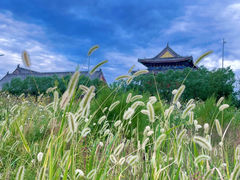 -天津妈祖文化园